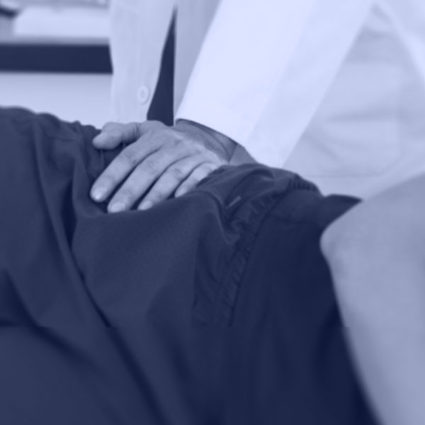 pelvis skeletal model